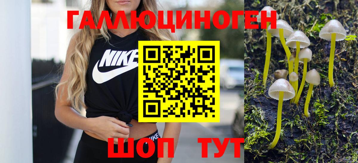 Псилоцибиновые грибы MAGIC MUSHROOMS Кохма