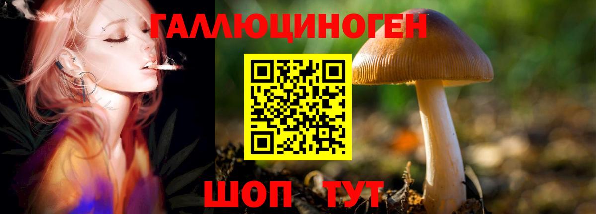 Псилоцибиновые грибы Psilocybine cubensis  Вход с VPN  Кохма 