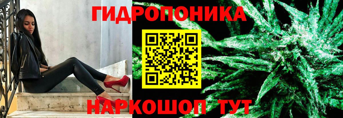 Конопля VHQ  Вход с VPN  Конопля White Widow  Кохма  Конопля конопля  Конопля Ganja 